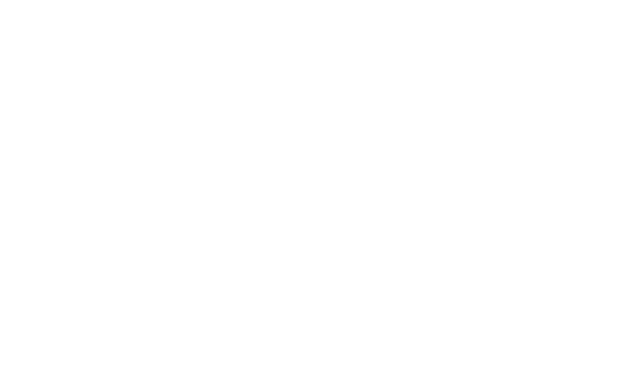 Pareto - FOC Logo